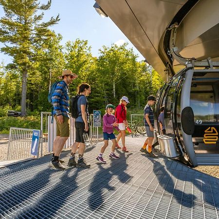 Les Chalets Du Massif De Charlevoix Петит-Ривьер-Сен-Франсуа Экстерьер фото