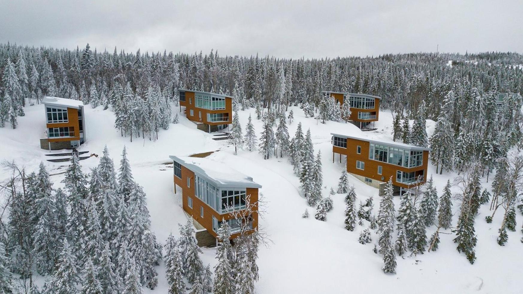 Les Chalets Du Massif De Charlevoix Петит-Ривьер-Сен-Франсуа Экстерьер фото