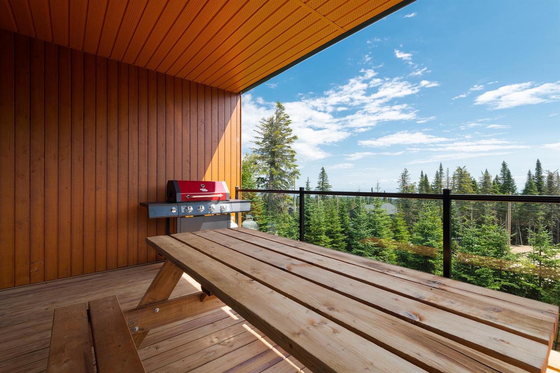Les Chalets Du Massif De Charlevoix Петит-Ривьер-Сен-Франсуа Номер фото