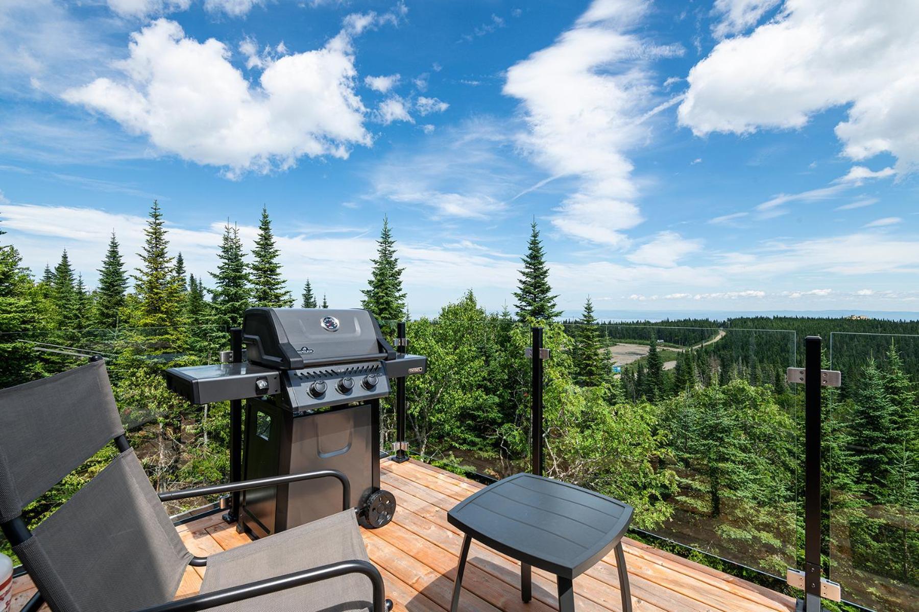 Les Chalets Du Massif De Charlevoix Петит-Ривьер-Сен-Франсуа Номер фото